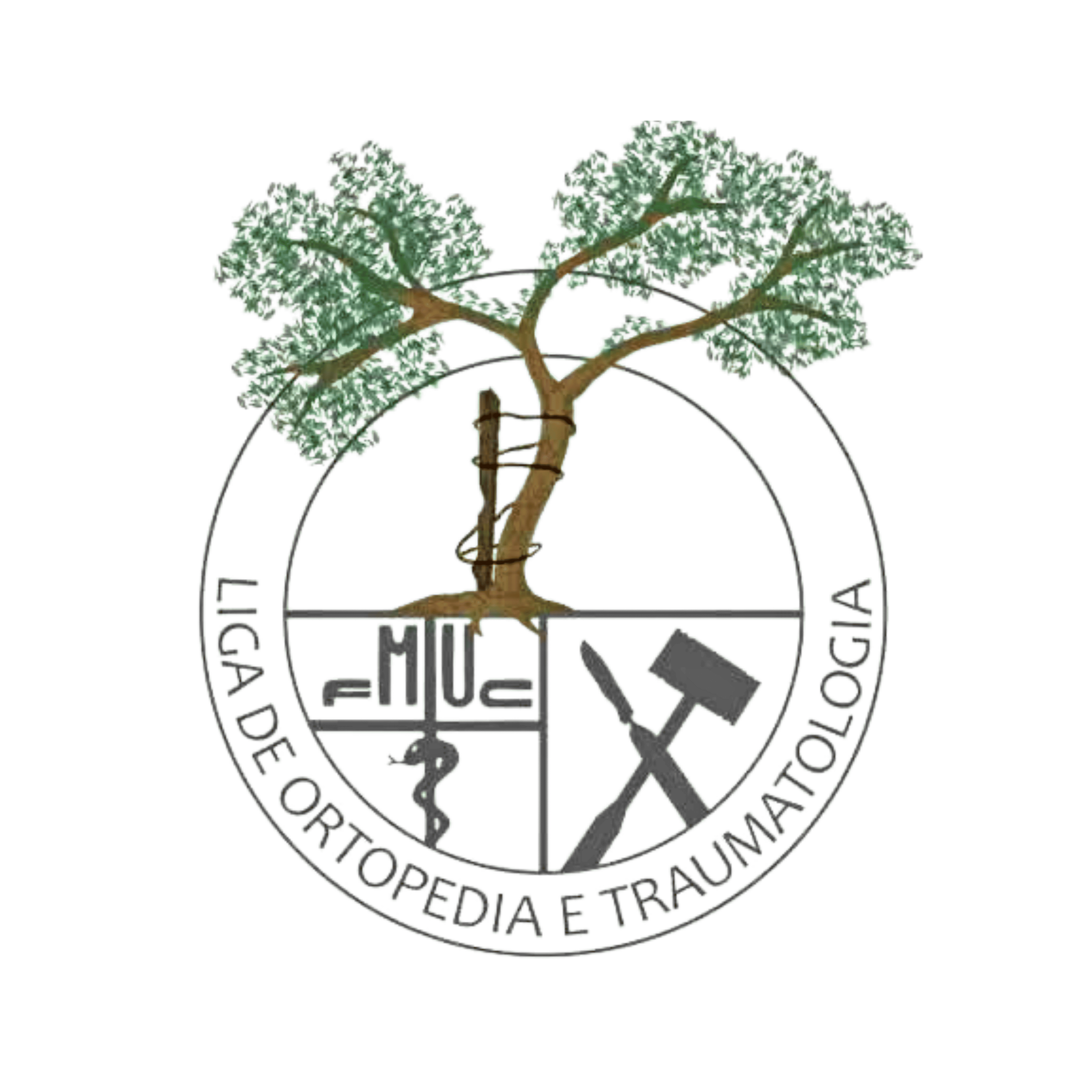 Logotipo da LIGA DE ORTOPEDIA E TRAUMATOLOGIA UNICAMP